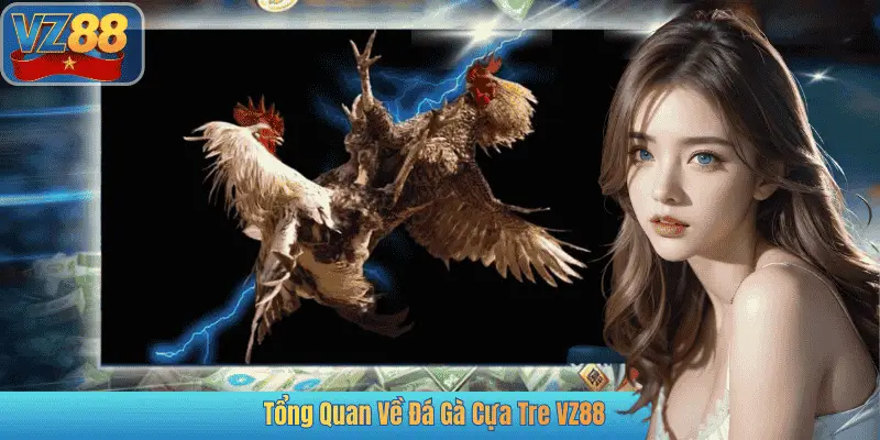 Tổng Quan Về Đá Gà Cựa Tre VZ88